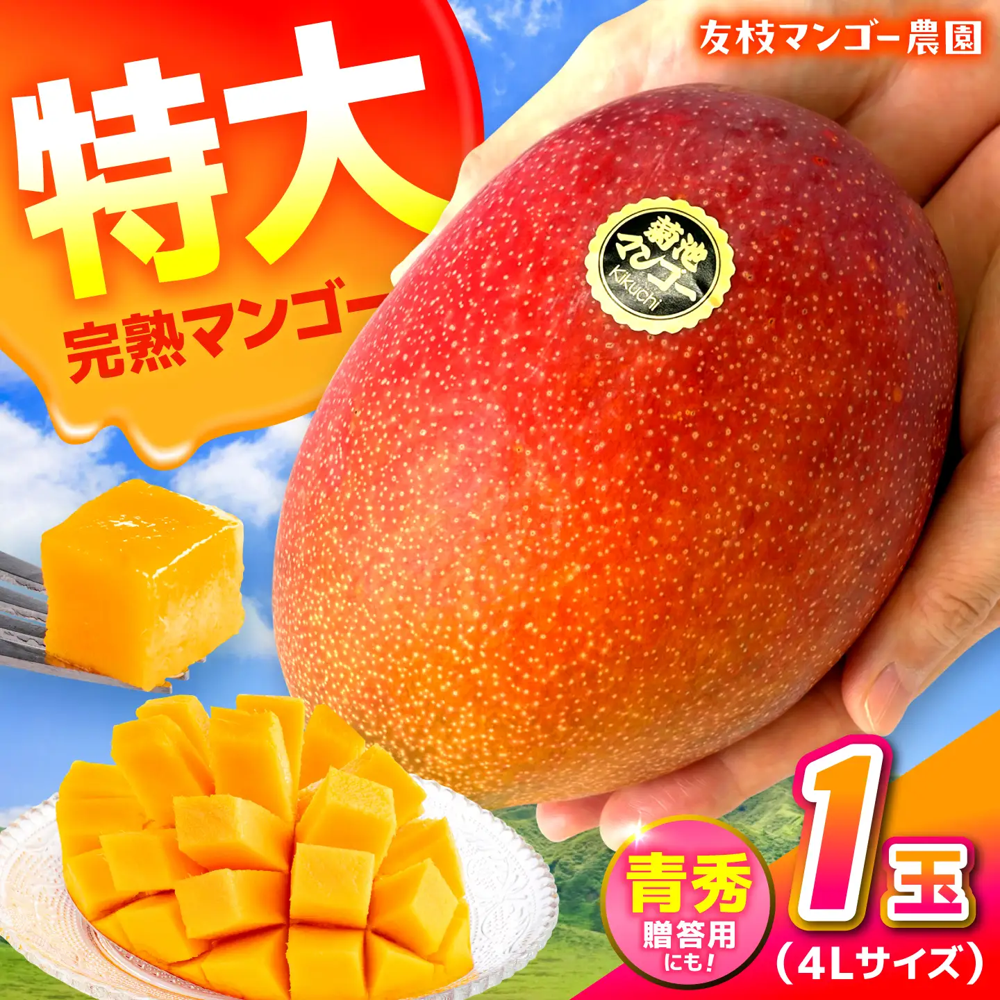 【2027年6月上旬から順次発送】菊池マンゴー4L×1玉  友枝マンゴー農園[AYDF005]