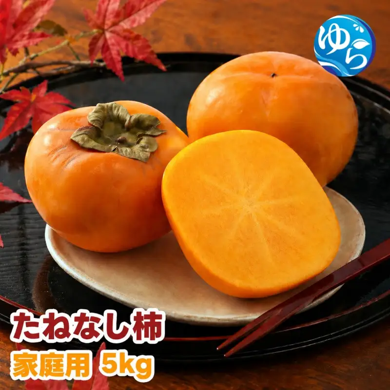 たねなし柿 5kg 家庭用 / 柿 刀根早生 平核無柿 富有柿 ※2026年9月下旬から11月上旬に順次発送 ※北海道・沖縄・離島への配送不可  【ikd504-c-5】