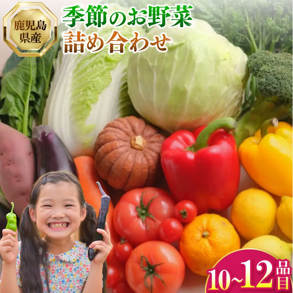鹿児島県産 季節のお野菜詰め合わせ 10～12品目 野菜 詰め合わせ 新鮮 旬 新鮮野菜 AS-2258