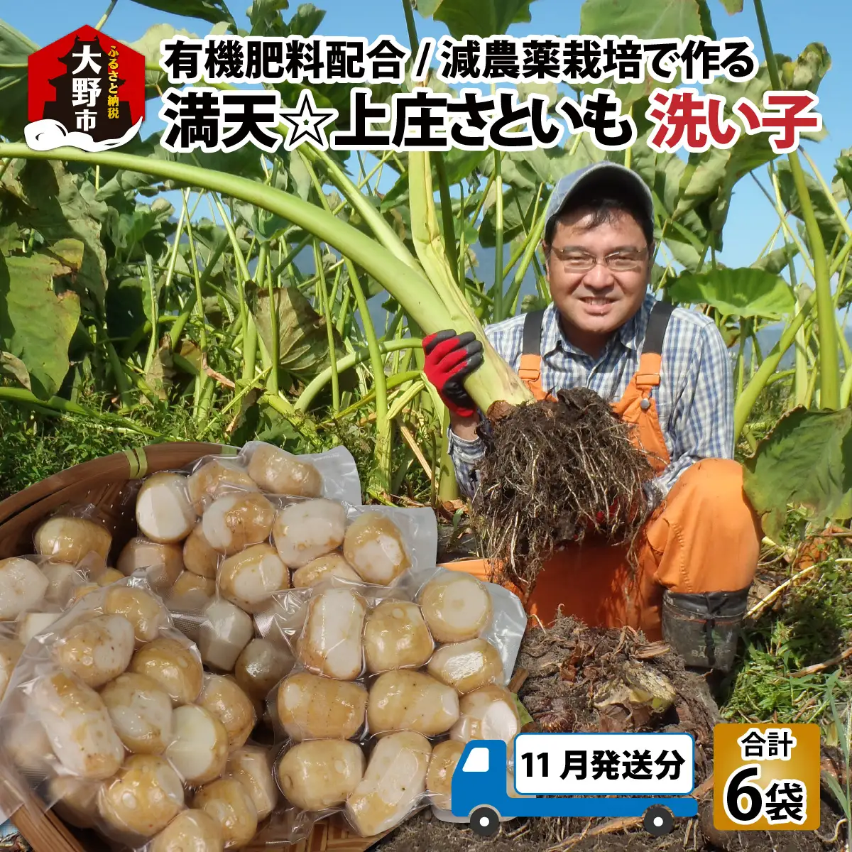 【先行予約】【11月発送分】上庄産さといもの「洗い子」計2.01kg  有機肥料配合　減農薬栽培[A-005006_01]