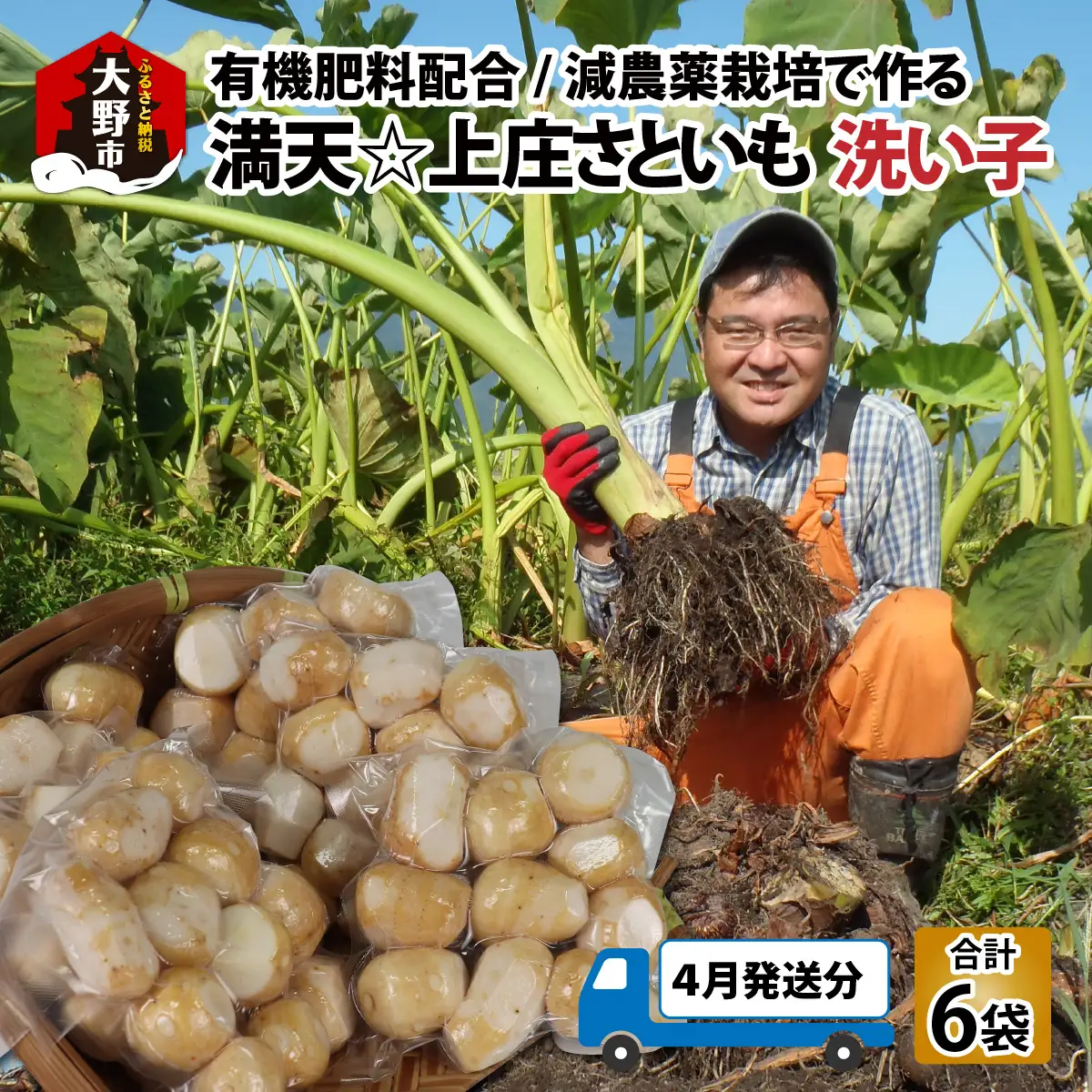 【先行予約】【4月発送分】上庄産さといもの「洗い子」計2.01kg  有機肥料配合　減農薬栽培[A-005006_06]