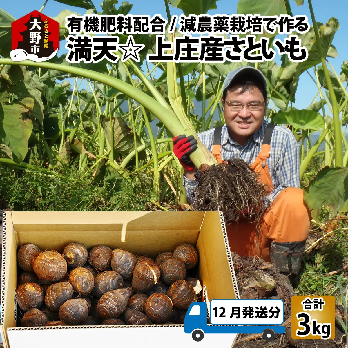 【先行予約】【12月発送分】上庄産さといも3kg 有機肥料配合 減農薬栽培 [A-005007_02]