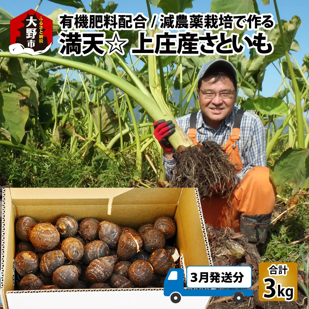 【先行予約】【3月発送分】上庄産さといも3kg 有機肥料配合 減農薬栽培 [A-005007_05]
