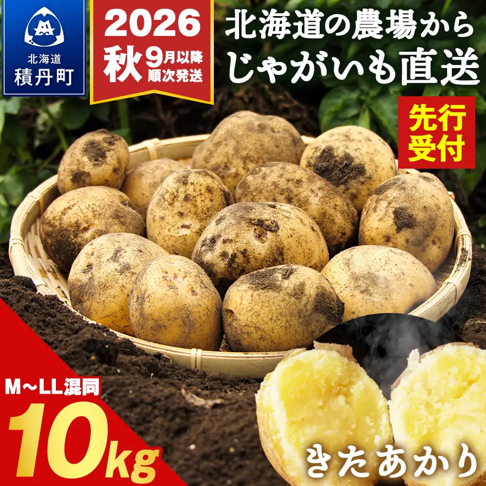【先行予約 2026年9月より順次発送】北海道積丹町産 じゃがいも きたあかり10kg 栗じゃが ホクホク 農場直送 サイズ混合