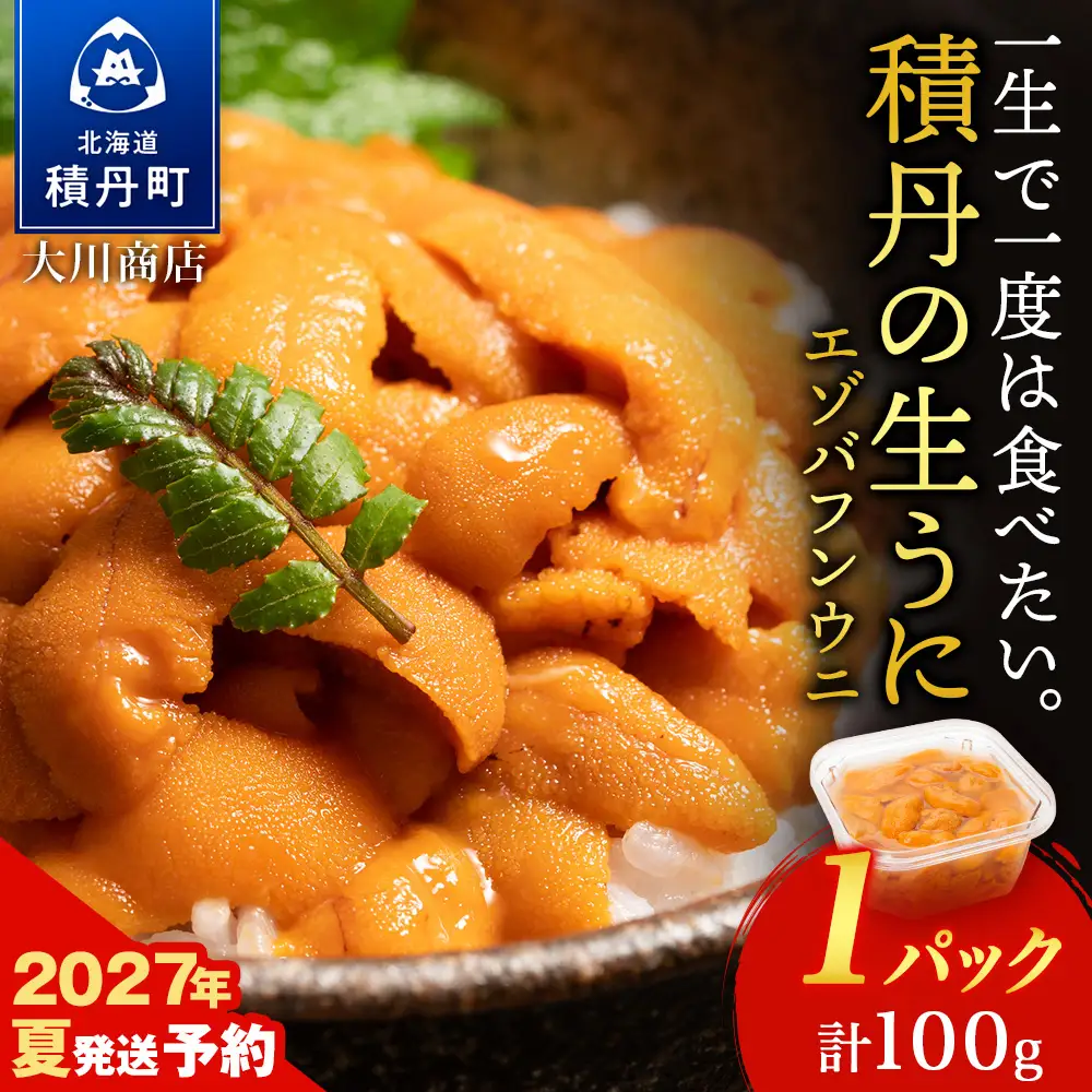 【2027年夏発送分】バフンウニ100g×1パック