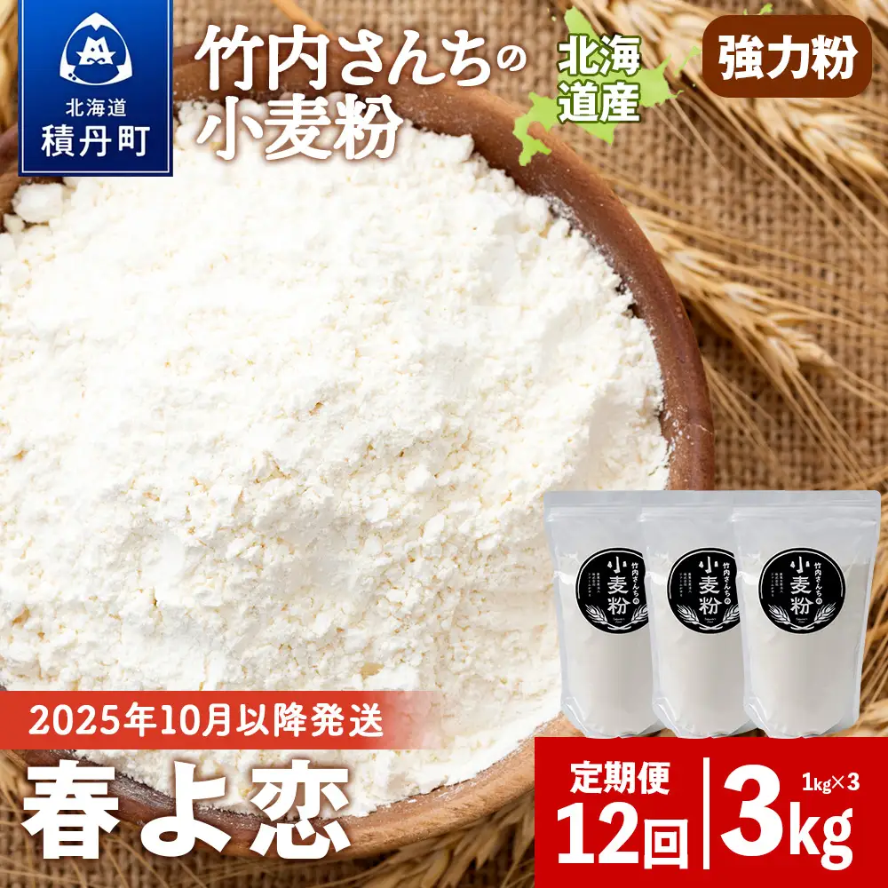 12ヵ月定期便 竹内さんちの小麦粉 強力粉【北海道 春よ恋 1kg×3袋 保存に便利なチャック付袋！】 小分け お菓子 パン
