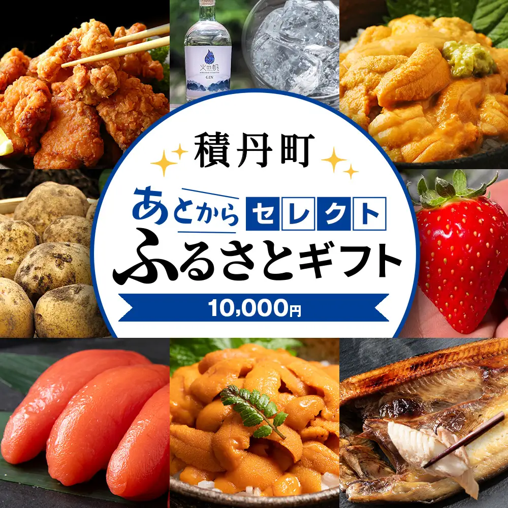 あとからセレクト 【ふるさとギフト】《10,000円分》