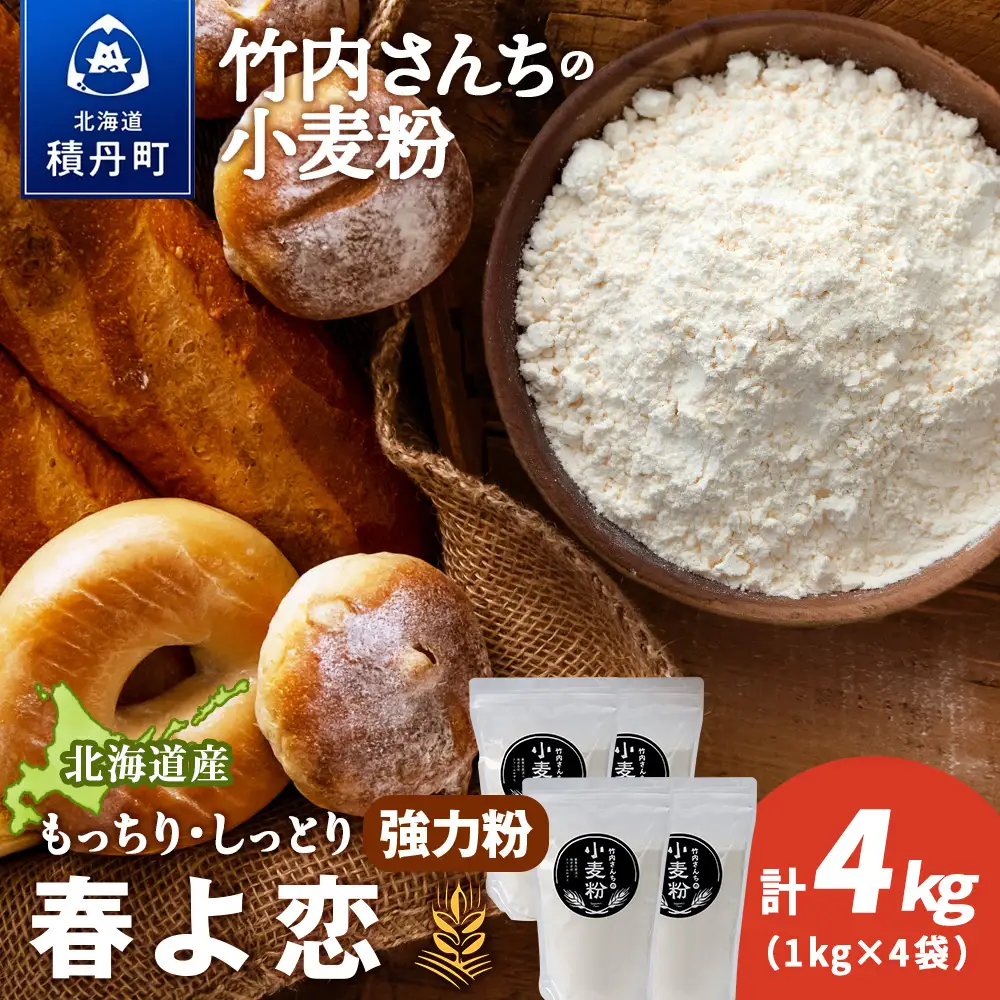 竹内さんちの小麦粉【北海道 春よ恋（１kg×４袋）便利な小分け袋でお届け】 小麦粉 1kg 4㎏ 春よ恋 小分け お菓子　パン