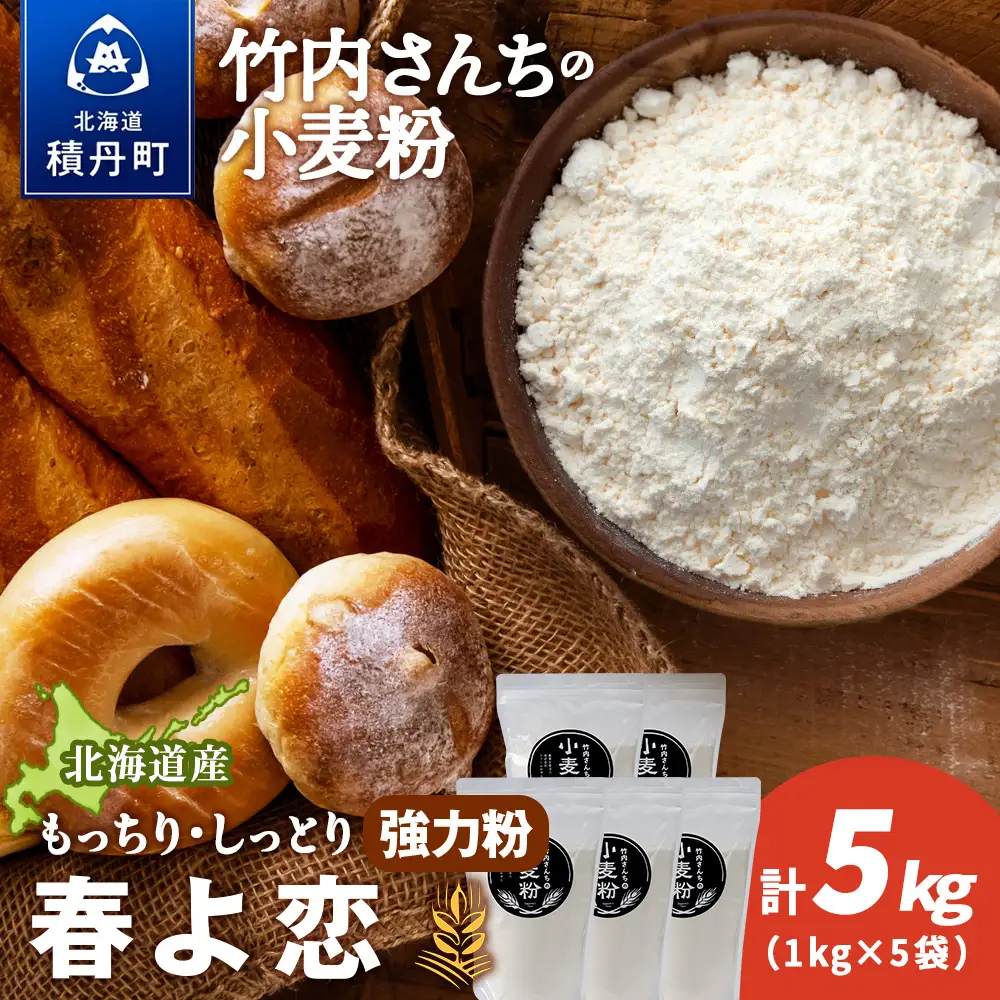 竹内さんちの小麦粉【北海道 春よ恋（１kg×５袋）便利な小分け袋でお届け】小麦粉 1kg 5㎏ 春よ恋 小分け お菓子 パン