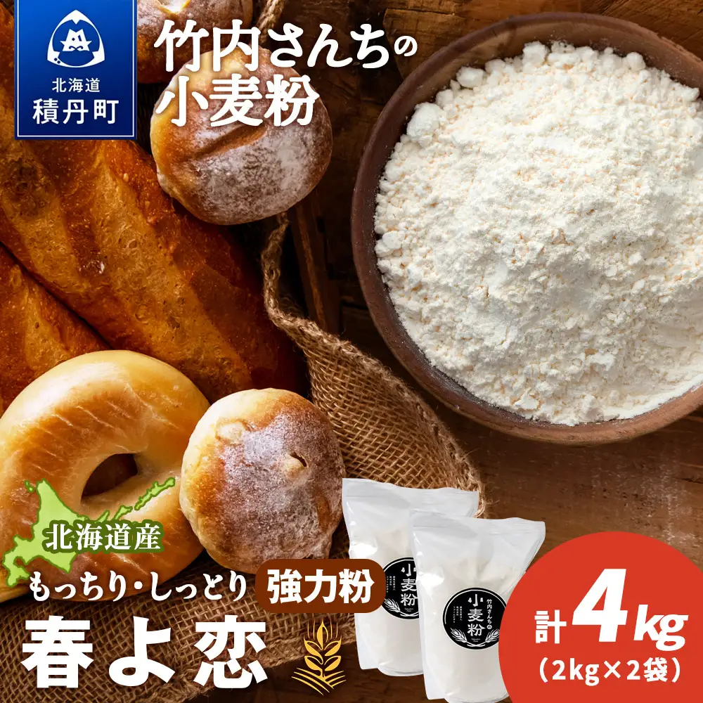 竹内さんちの小麦粉【北海道 春よ恋（２kg×２袋）保存に便利なチャック付袋！】小麦粉 2kg 4kg 春よ恋 小分け お菓子 パン