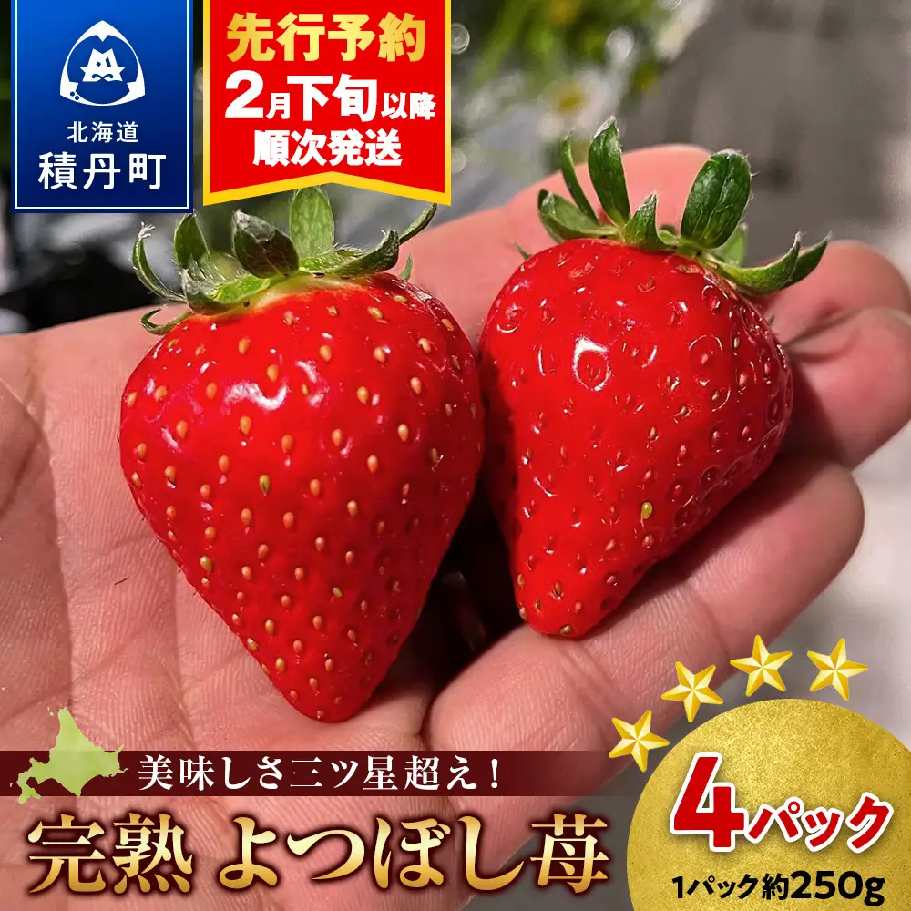 【2027年2月下旬以降発送】北海道産 完熟よつぼし苺(約250g×4パック)