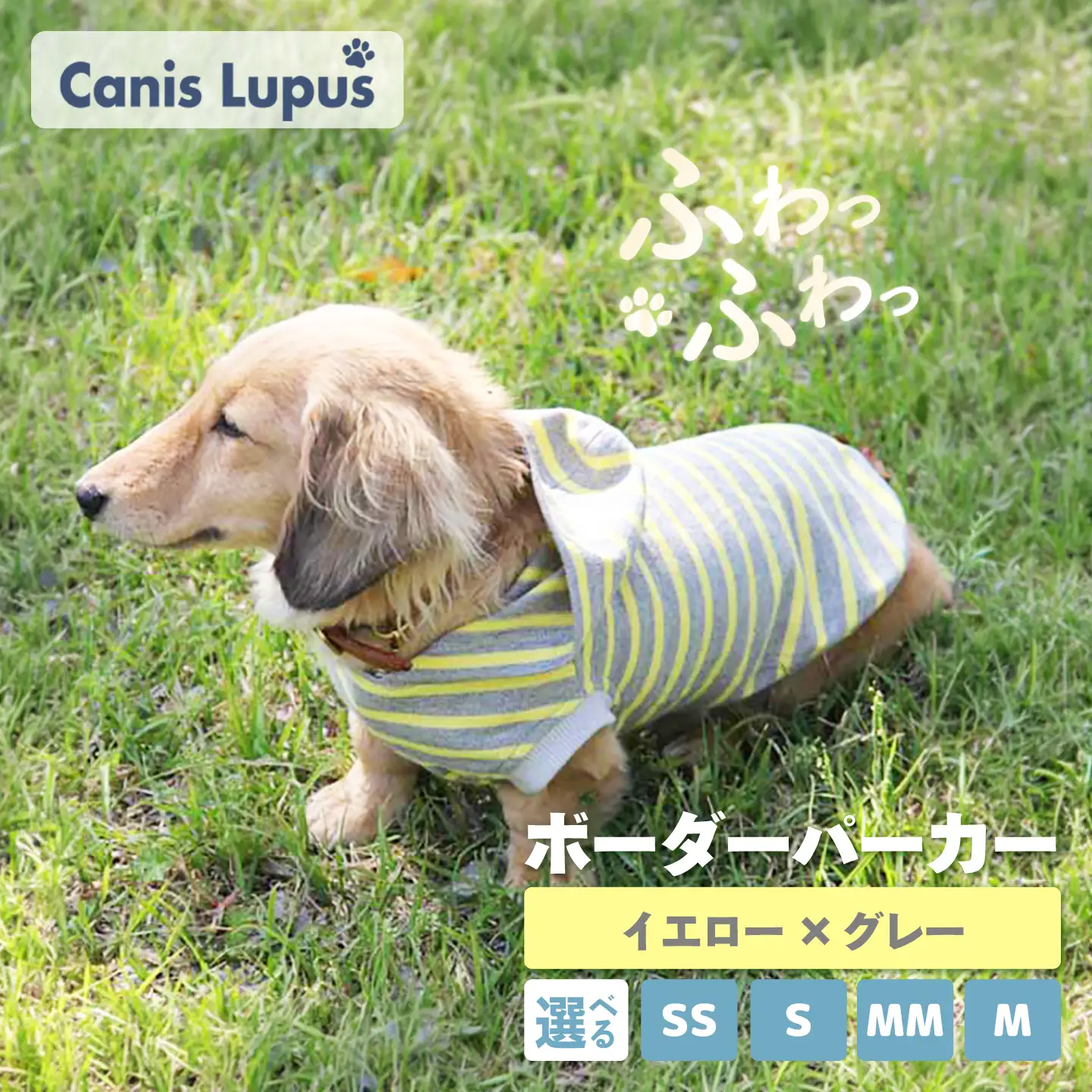 ボーダーパーカー イエロー×グレー （SS/S/MM/M） / ペット用品 ドックウェア 犬服 犬用 / 佐賀県 / Canis Lupus[41AAAN016]