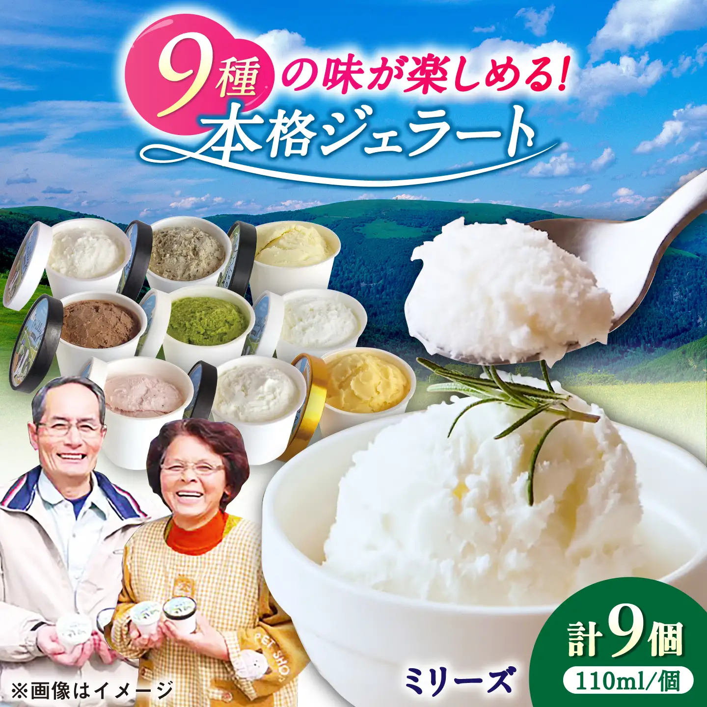 本格ジェラート ミリーズ9個セット 110ml×9個 / ジェラート アイス アイスクリーム シャーベット ギフト 贈答 / 佐賀県 / 松本アイス工房[41AOAA002] 14,000円