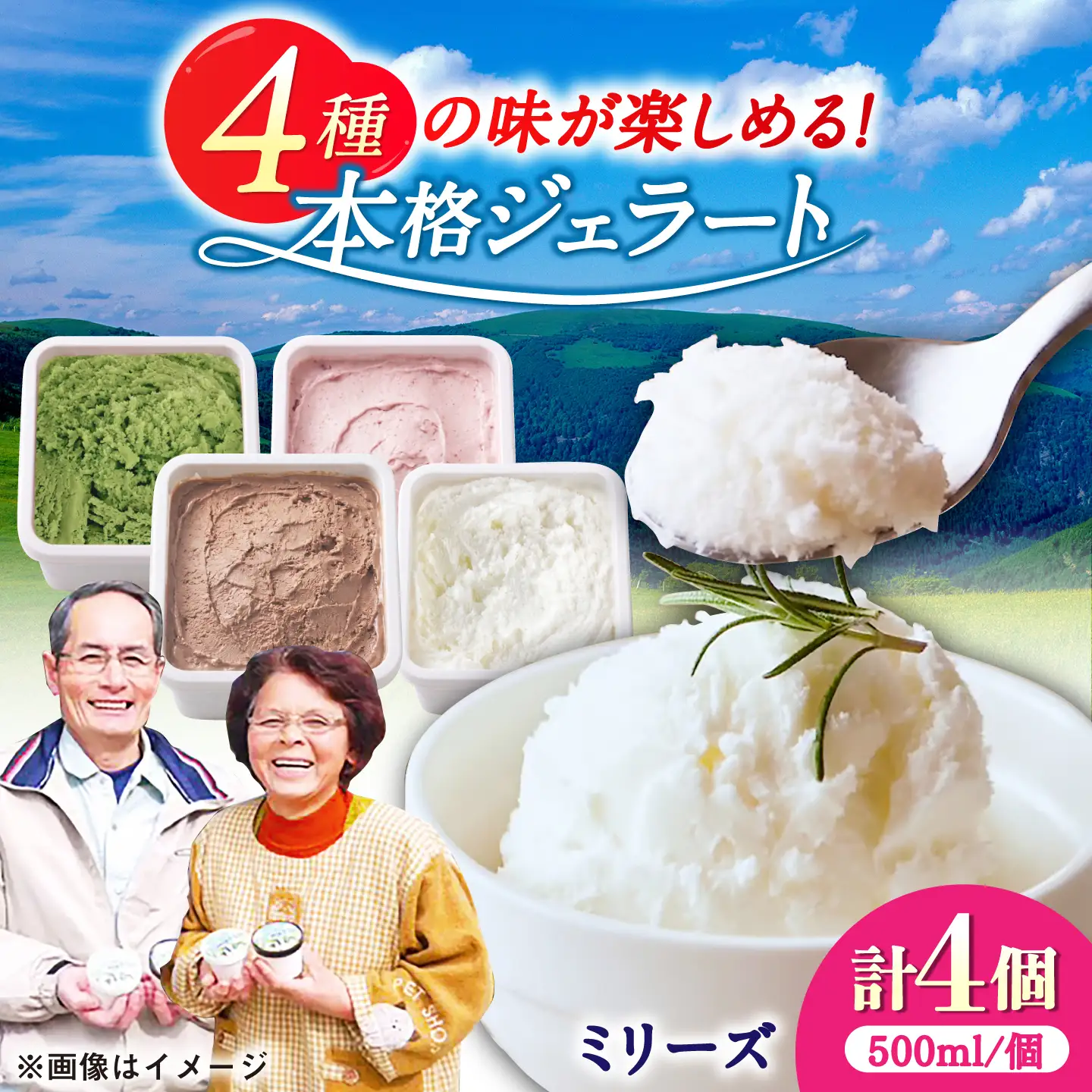 本格ジェラート ファミリーセット 500ml×4個 / ジェラート アイス アイスクリーム ギフト 贈答 / 佐賀県 / 松本アイス工房[41AOAA004] 16,000円