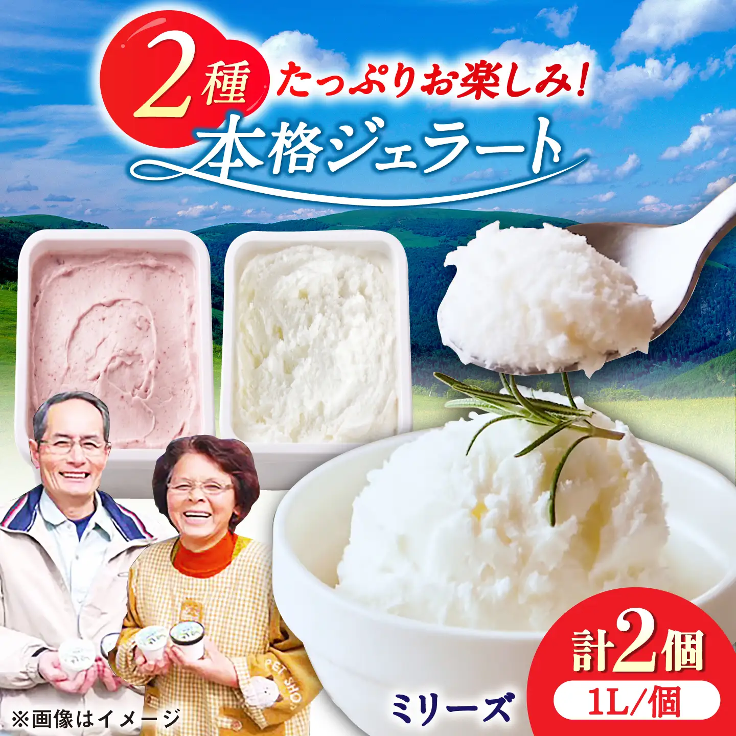 本格ジェラート ファミリーセット 1L×2個 / ジェラート アイス アイスクリーム ギフト 贈答 / 佐賀県 / 松本アイス工房[41AOAA005] 15,000円