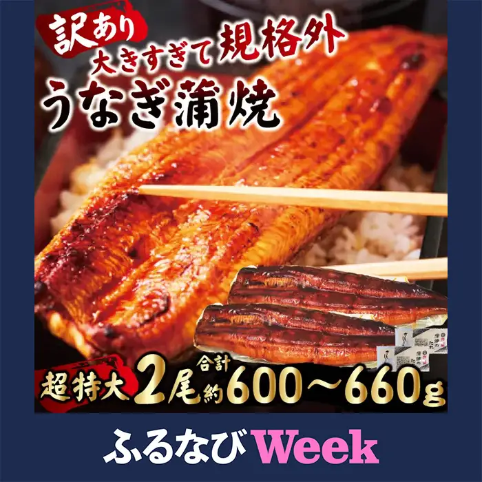 【ふるなびWEEK対象】うなぎ 訳あり 2尾 計600g以上  うなぎ 【ho1685-1】