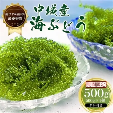 【沖縄から産地直送】県産海ぶどう品評会最優秀賞受賞!ちゅら海ぶどう500g×1箱【1674875】