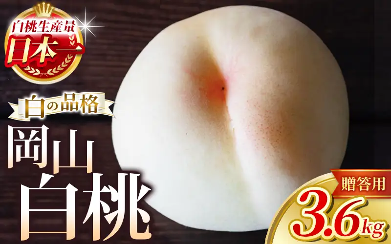 桃 岡山県産 白桃 約3.6kg 品種お任せ もも フルーツ 【hnds002】