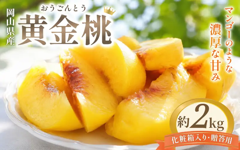 桃 岡山県産黄金桃 化粧箱入り2kg 【hnds009】