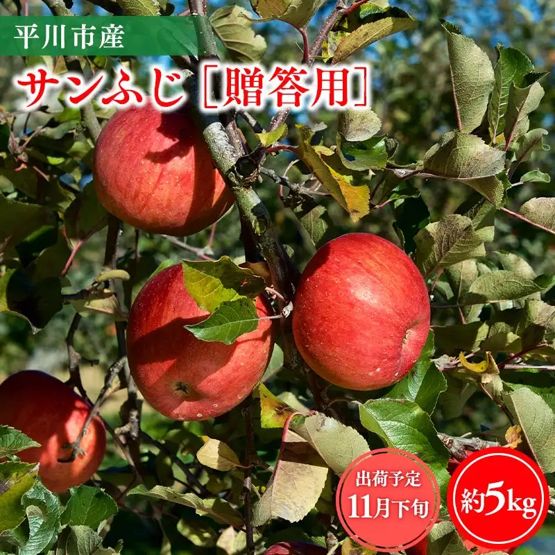 りんご 贈答用サンふじ5kg【hi-0064-009】