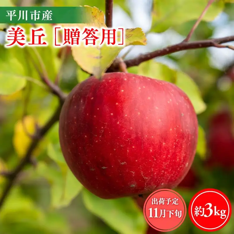 りんご 贈答用美丘3kg【hi-0064-012】