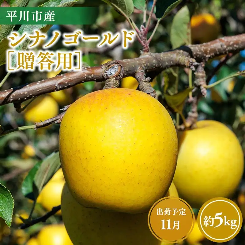 りんご 贈答用シナノゴールド5kg【hi-0064-015】