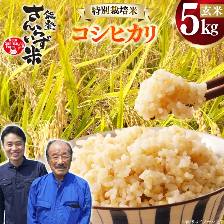 米 令和8年産 特別栽培米 コシヒカリ 5kg 玄米