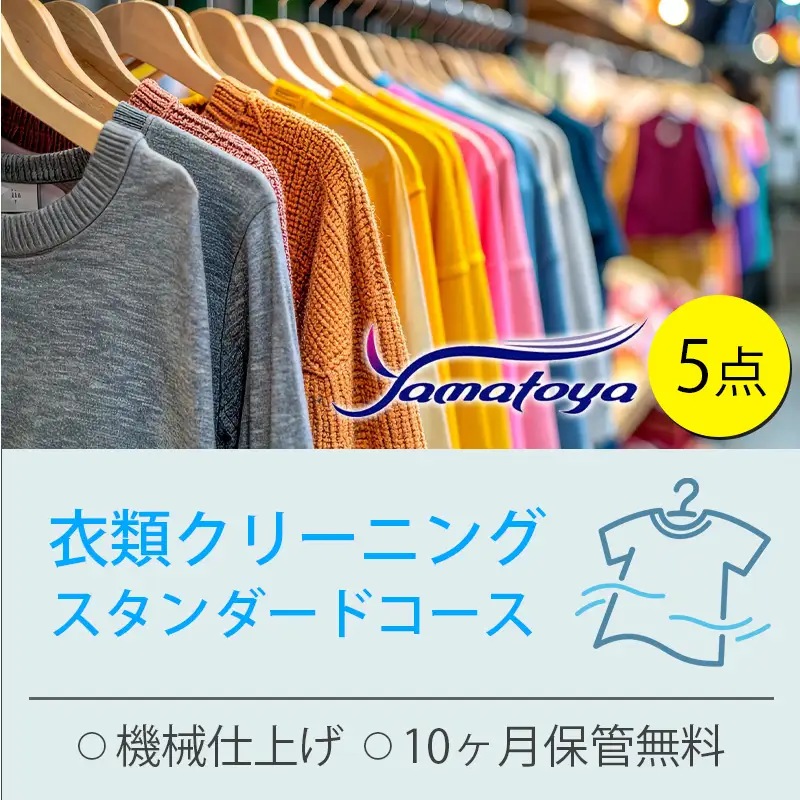 衣類の宅配クリーニング スタンダードコース 5点詰め放題 保管付き 【ハンガー仕上げ ダウン ワンピース シミ抜き無料 保管 冬物 預かり 安心 保管あり 撥水加工 防虫 抗菌 除菌 引っ越し おすすめ ヤマトヤクリーニング 糸魚川】
