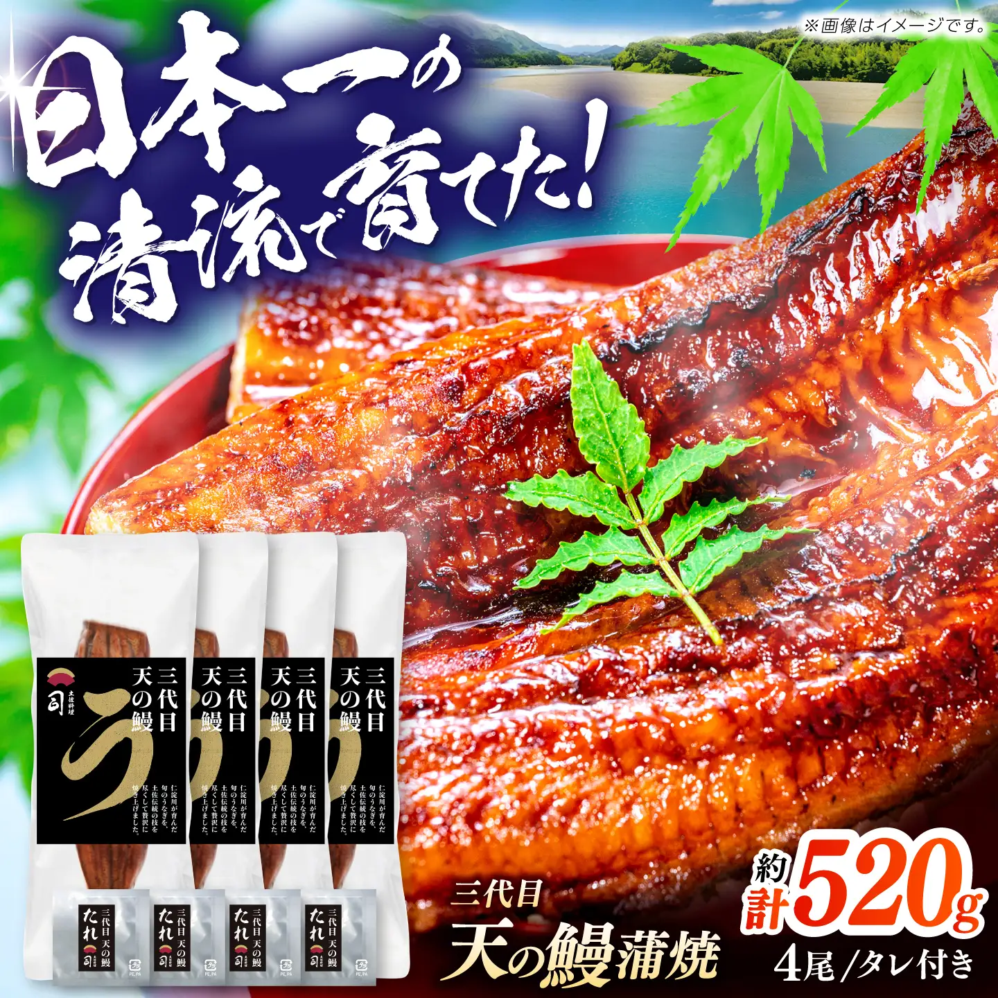 土佐料理司 三代目天の鰻蒲焼4尾セット (高知市春野町産) / 鰻 うなぎ ウナギ 蒲焼 うな重 国産 高知市 【株式会社土佐料理司】[ATAD091]