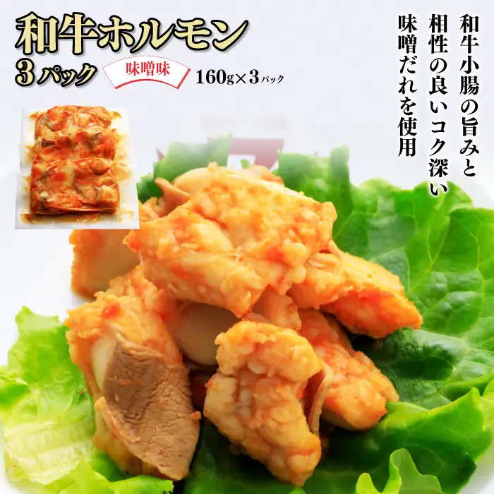和牛ホルモン 味噌味 3パック 肉 牛肉 和牛 ホルモン 味噌 冷凍 焼肉 BBQ アウトドア バーベキュー C0613 岩手県 北上市 ヤマトフードサービス
