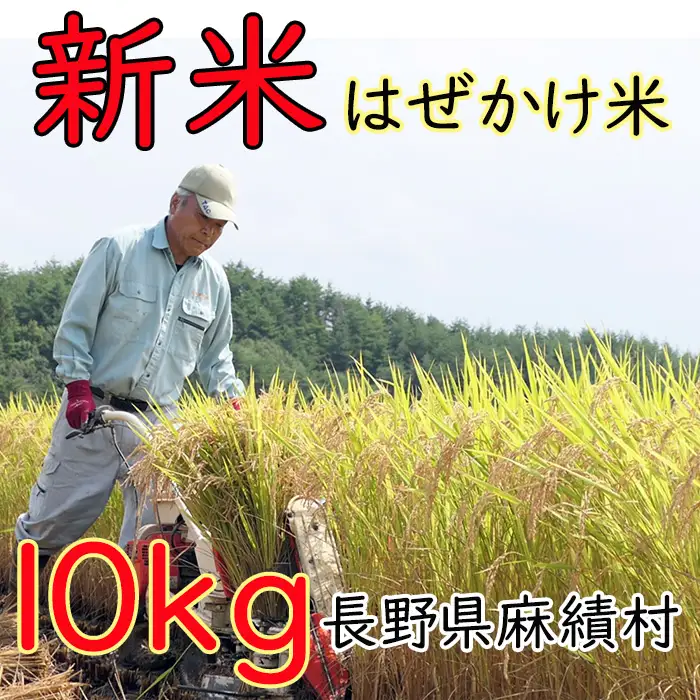 信州麻績産 はぜかけ米 数量限定 期間限定 10kg 自然乾燥 コシヒカリ 5kg +5kg 長野県 信州 麻績村 麻績