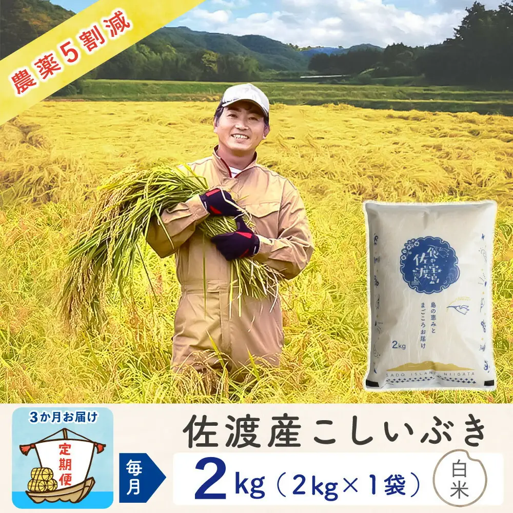 【令和8年産新米 3ヶ月】佐渡島産こしいぶき 白米 2kg ～農薬5割減～