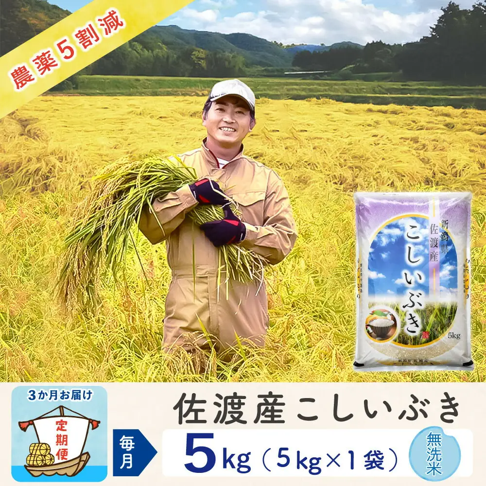 【令和8年産新米 3ヶ月】佐渡島産こしいぶき 無洗米 5kg ～農薬5割減～