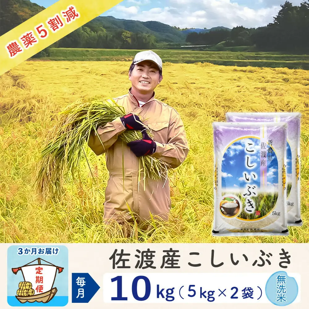 【令和8年産新米 3ヶ月】佐渡島産こしいぶき 無洗米 10kg(5kg×2袋） ～農薬5割減～