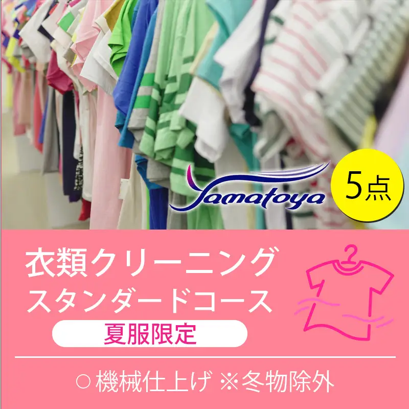 衣類の宅配クリーニング 夏服限定 スタンダードコース 5点詰め放題 【クリーニング ハンガー仕上げ ダウン ワンピース シミ抜き無料 洗濯 安心 毛玉取り 撥水加工 防虫 抗菌 除菌 引っ越し 衣類 ヤマトヤクリーニング 糸魚川】