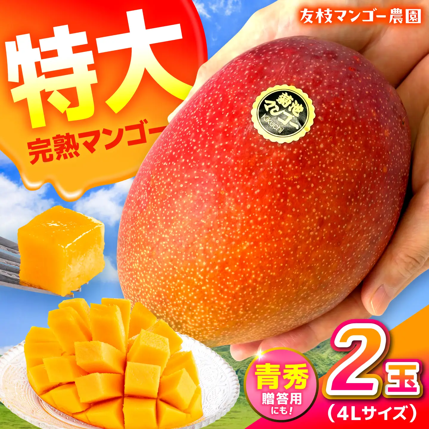 【2027年6月上旬から順次発送】秀品 菊池マンゴー2玉 4Lサイズ 友枝マンゴー農園[AYDF006]