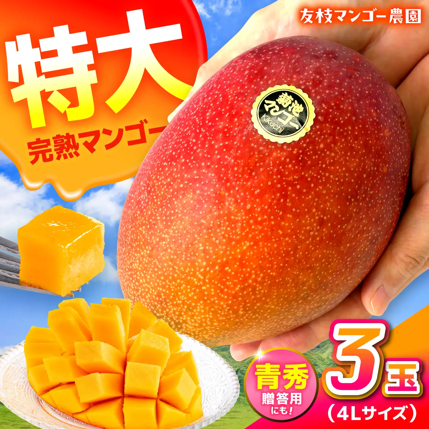 【2027年6月上旬から順次発送】菊池マンゴー3玉 4Lサイズ 青秀 友枝マンゴー農園[AYDF007]