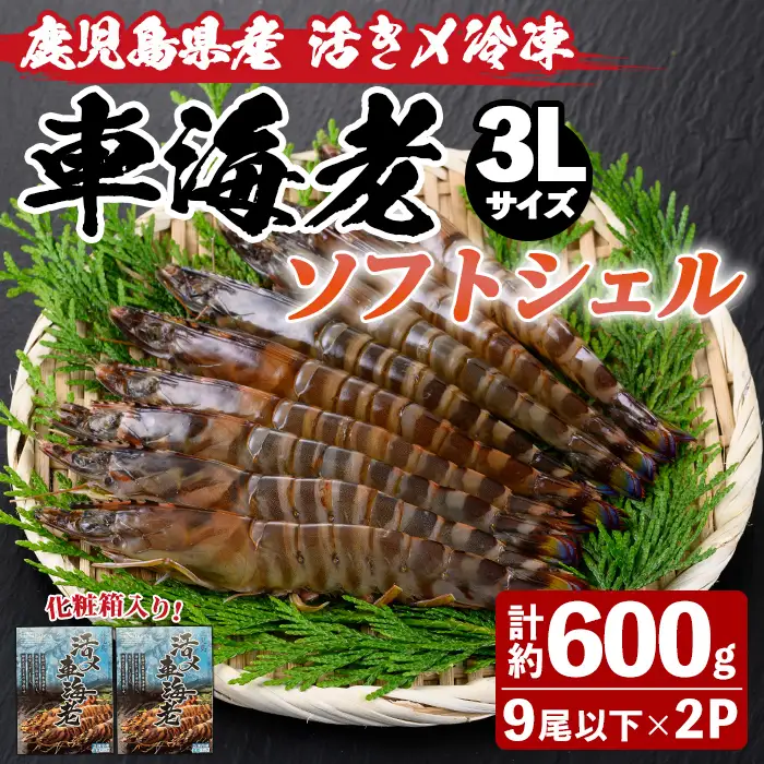 n433 車海老 ソフトシェル 3L・計約600g 冷凍 海老 希少【車海老日本株式会社】