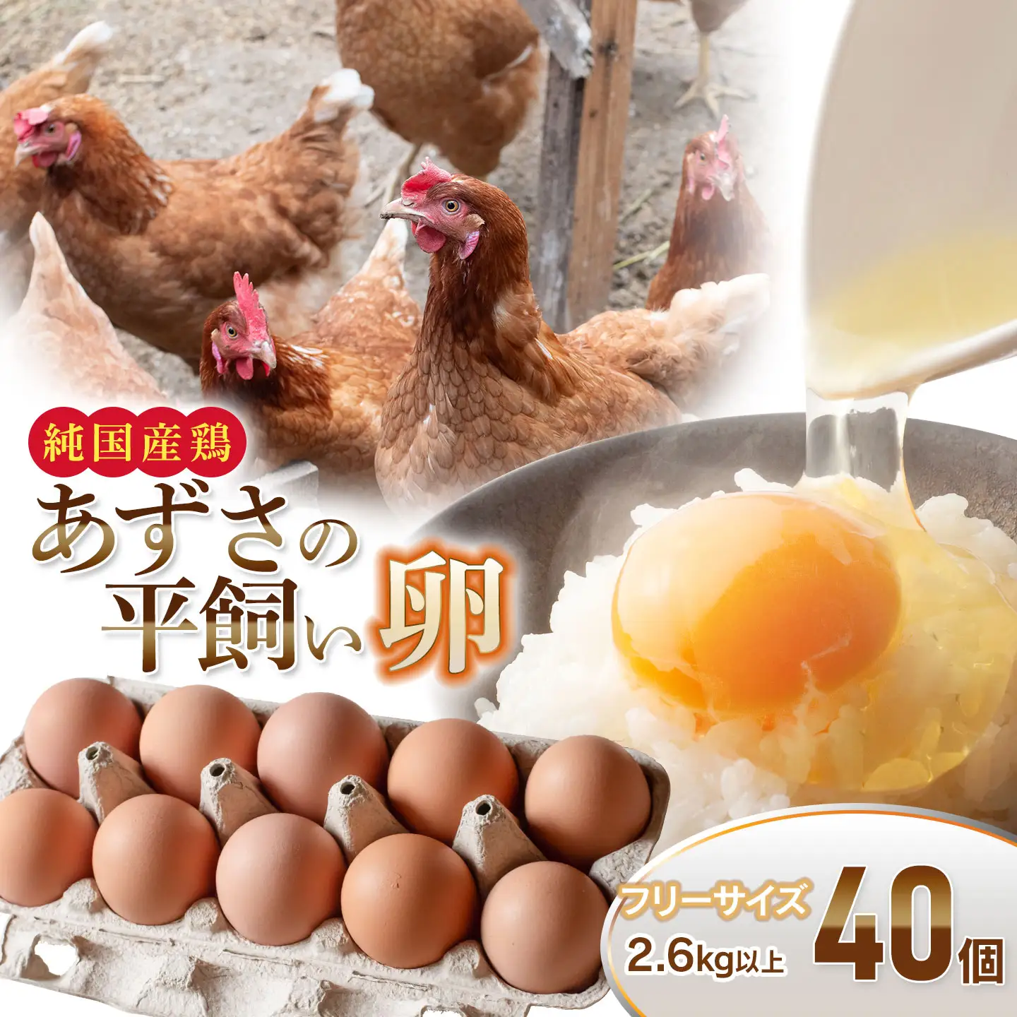 純国産鶏あずさの平飼い卵 40個 (フリーサイズ) 山形県鶴岡市 おーぼ | 卵 たまご タマゴ 玉子 鶏卵 平飼い卵 自然卵 生卵 卵かけご飯 たまごかけご飯 卵かけごはん たまごかけご飯 卵料理 甘み 国産 東北 山形 鶴岡市産 冷蔵 送料無料