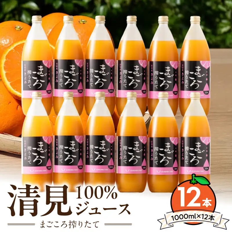 【まごころ搾りたて】清見100%ジュース 1000ml×12本_ZE6523
