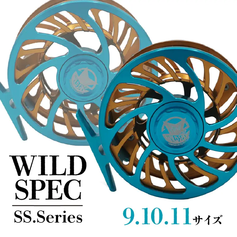 Wild Spec/SS.Series シアンブルー×ゴールド  【9.10.11サイズ】_81-441