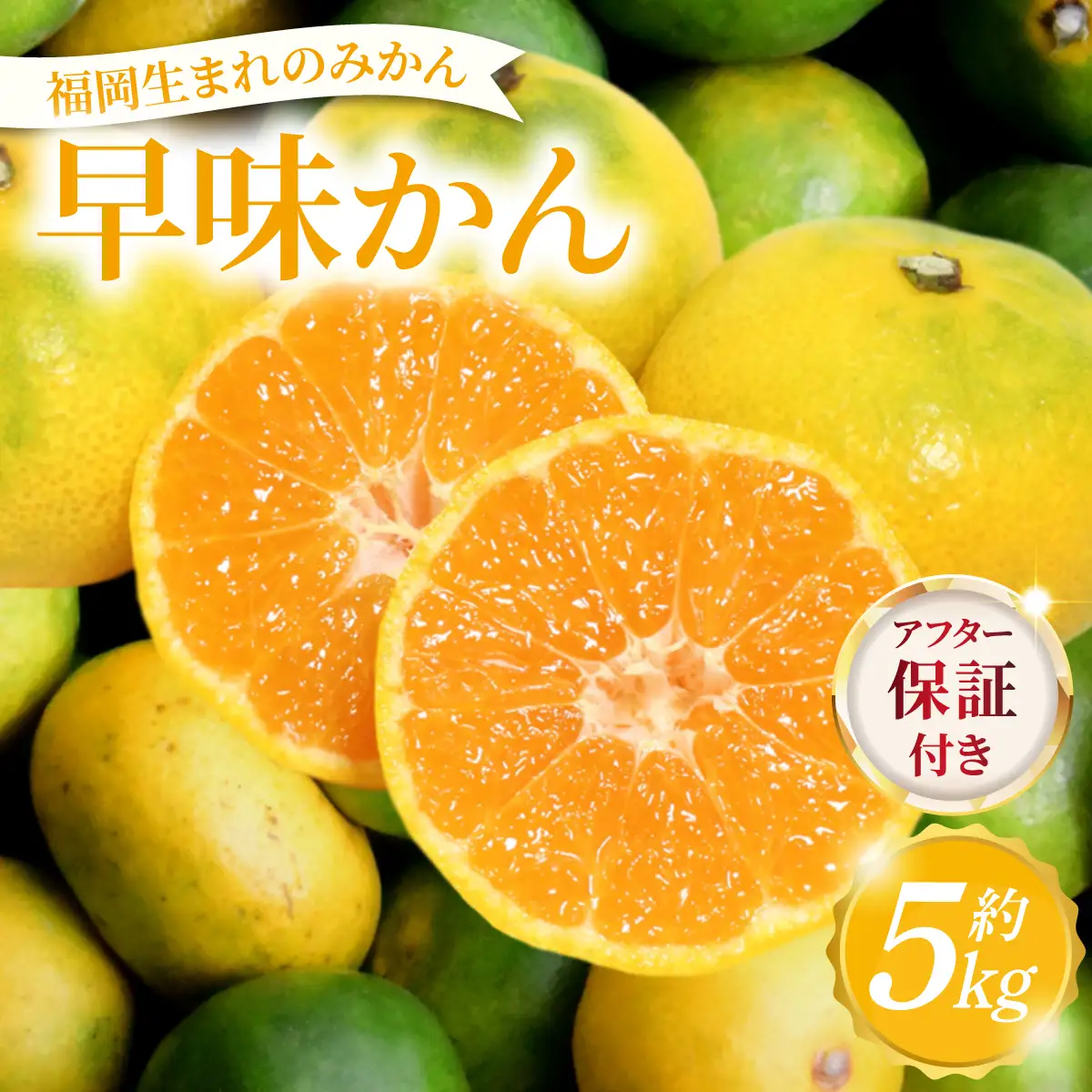  【産地直送】福岡県オリジナル品種 みかん 早味かん 約5kg（2026年9月以降発送）