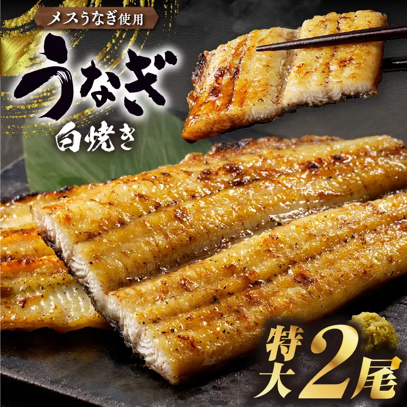 三河高浜産三代目養鰻家の白焼きうなぎ 特大2尾（350ｇ以上）_74-379