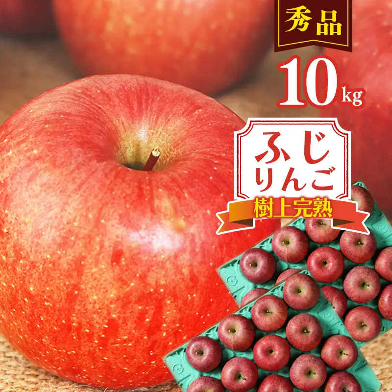 令和8年産 樹上完熟 りんご 10kg 秀品 「ふじりんご」 2026年産 山形県産【2026年11月下旬頃から12月下旬頃発送予定】　034-B-NG014