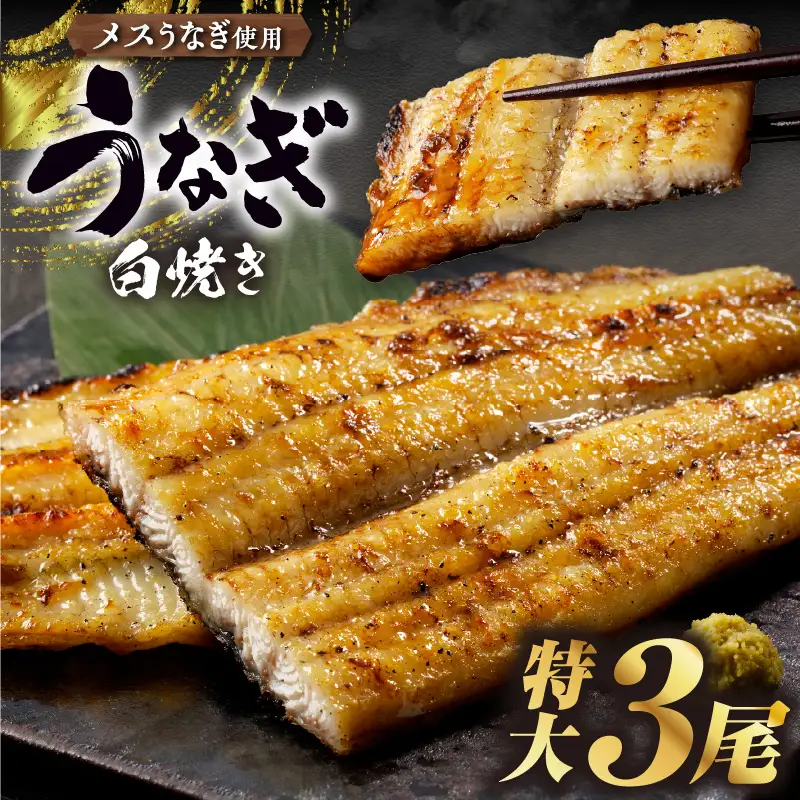 三河高浜産三代目養鰻家の白焼きうなぎ 特大3尾（525ｇ以上）_74-380