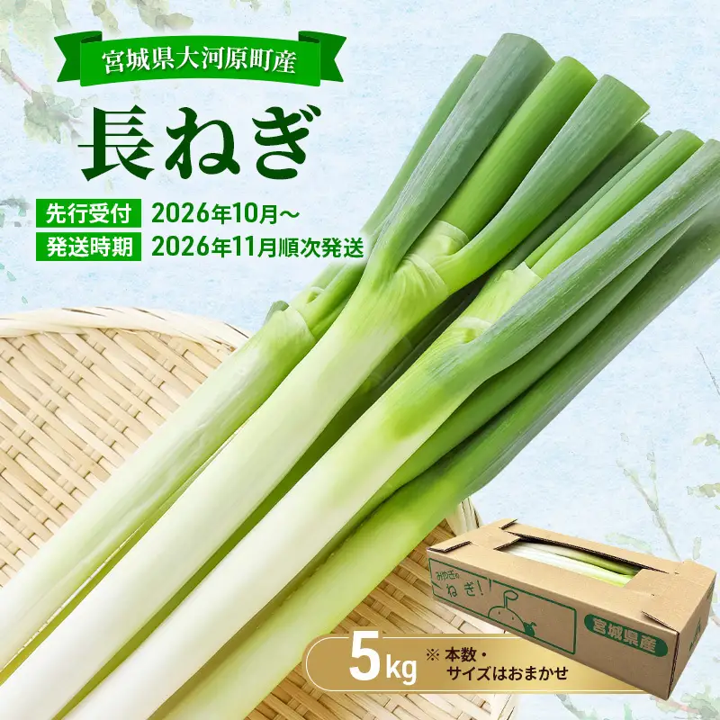 長ねぎ 約5kg 新鮮 野菜 ねぎ 葱 野菜 やさい 新鮮 鍋 薬味 焼きネギ 業務用 家庭用 宮城県 大河原町