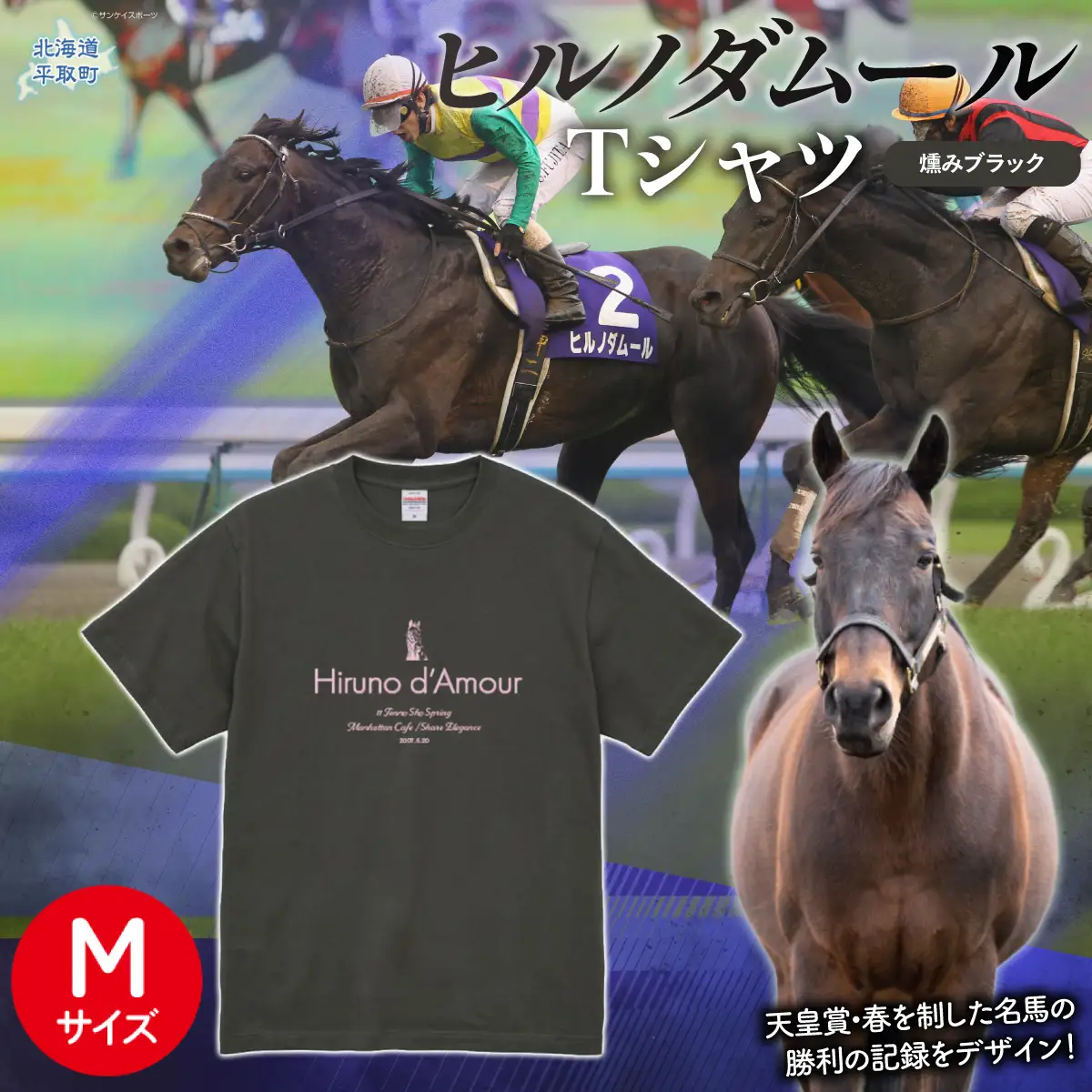 【ヒルノダムール】（燻みブラック）Ｔシャツ 選べる４サイズ【М】 BRTV300-2