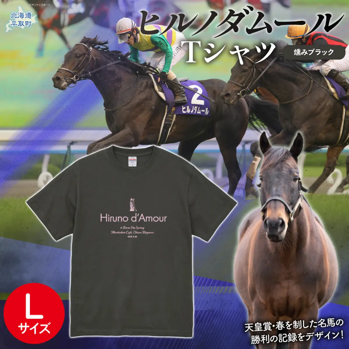 【ヒルノダムール】（燻みブラック）Ｔシャツ 選べる４サイズ【Ｌ】 BRTV300-3