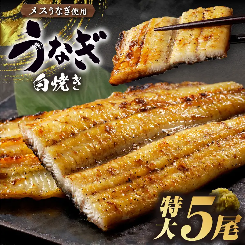 三河高浜産三代目養鰻家の白焼きうなぎ 特大5尾（875ｇ以上）_74-381