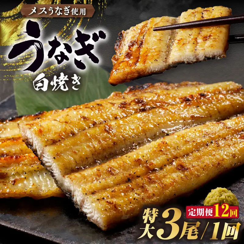 【定期便12ヶ月】三河高浜産三代目養鰻家の白焼きうなぎ 特大3尾_74-524